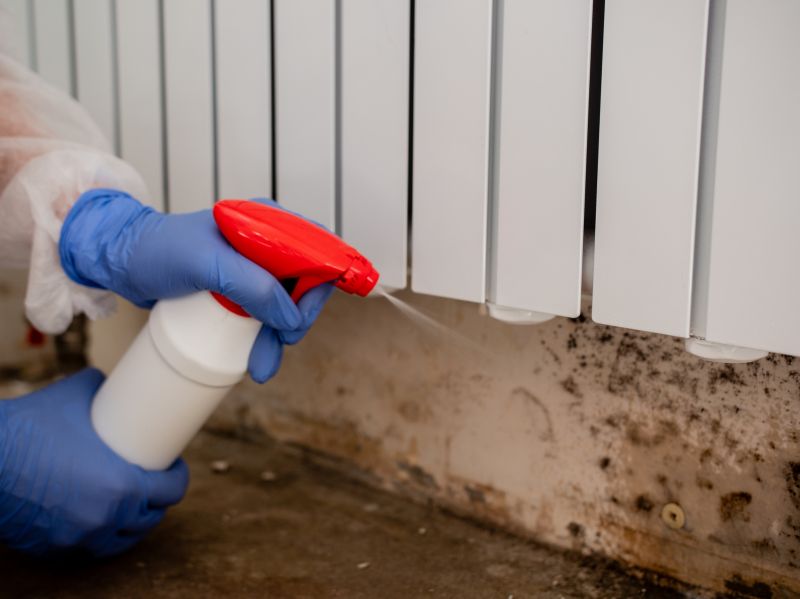 Attic Mold Removal in Boca Raton, FL