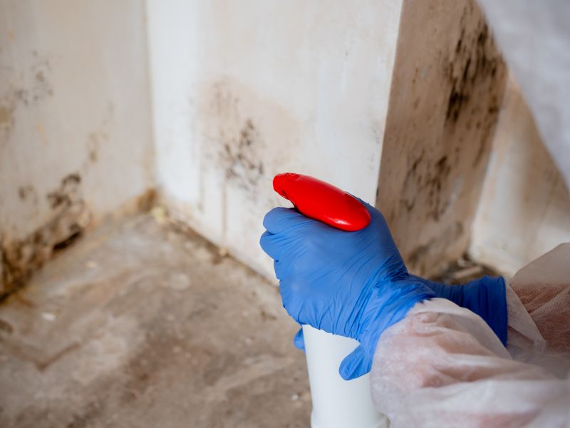 Mold Removal in Jupiter, FL