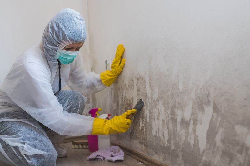 Attic Mold Remediation in Fort Lauderdale, FL