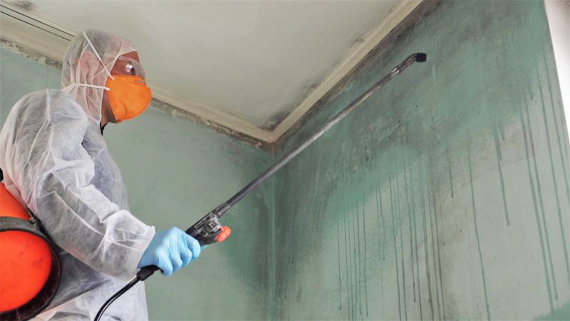 Crawlspace Mold Remediation in Fort Worth, TX