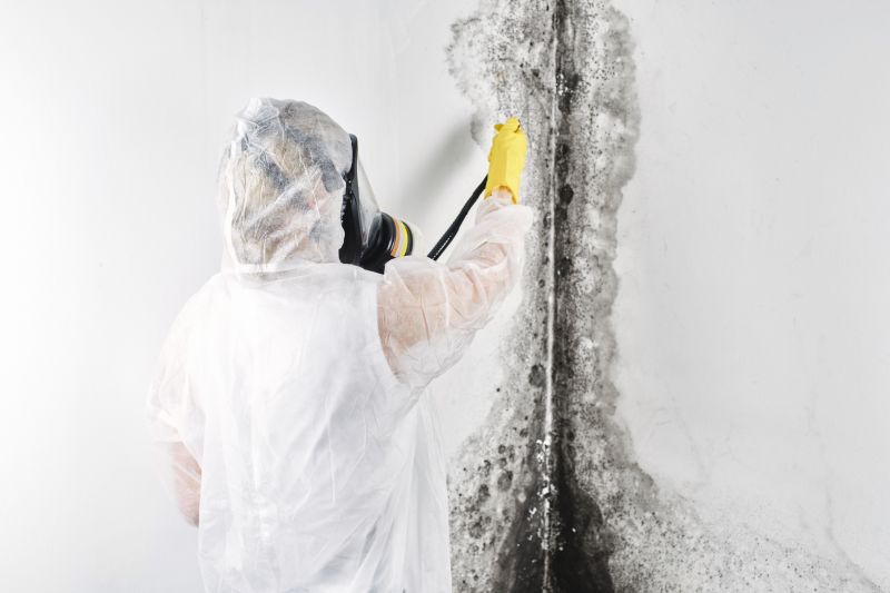 Mold Remediation Service in Dallas, TX