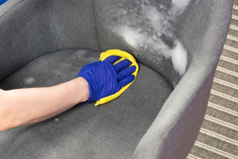 Why Professional Upholstery And Furniture Cleaning Matters